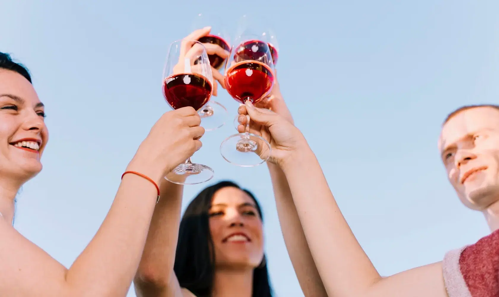 Wine cheers at restaurant